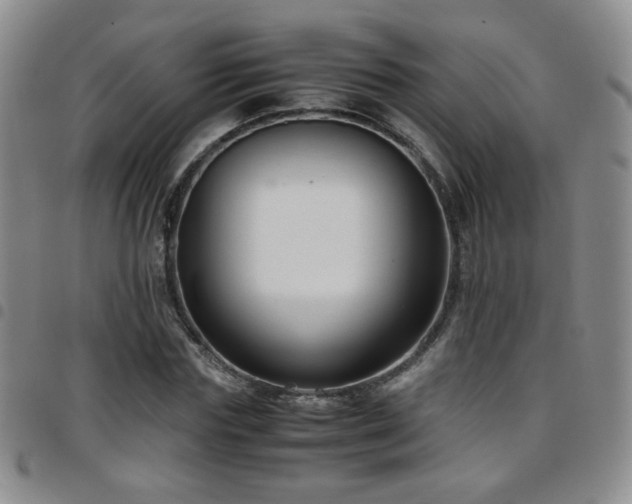 X0000097820827200803141138