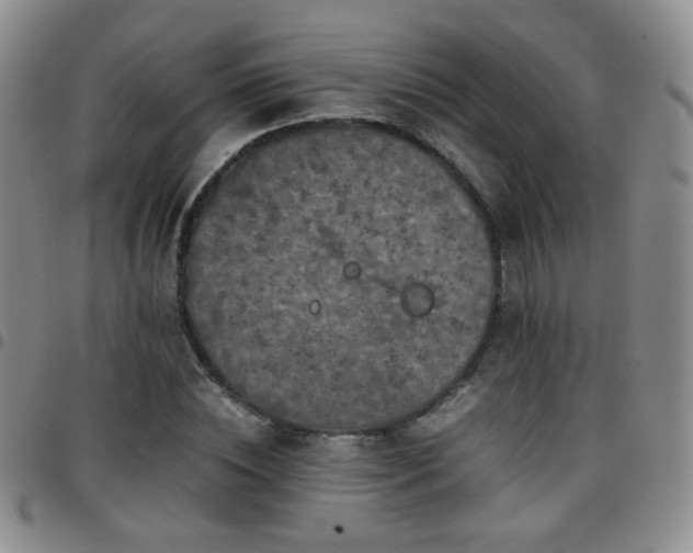 X0000097820828200803141138