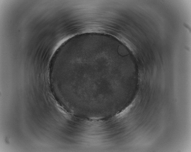 X0000097820830200803141138