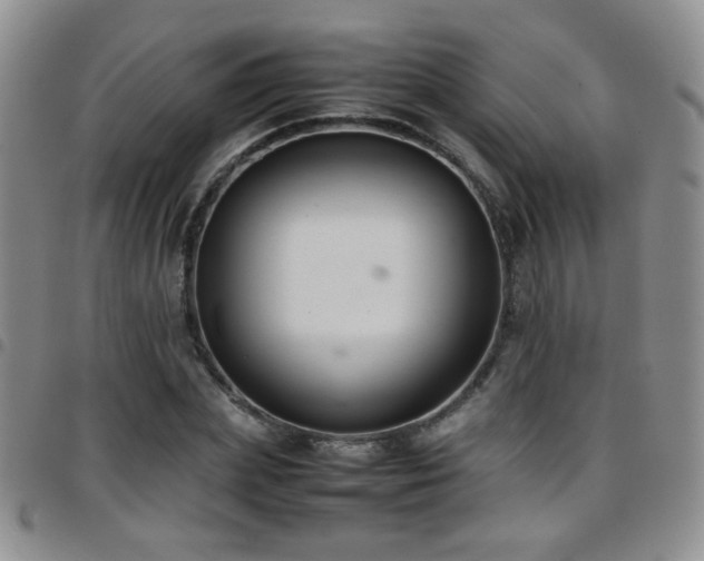 X0000097820831200803141138