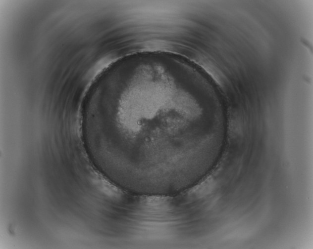 X0000097820832200803141138