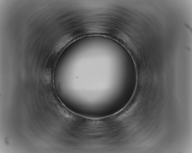 X0000097820833200803141138