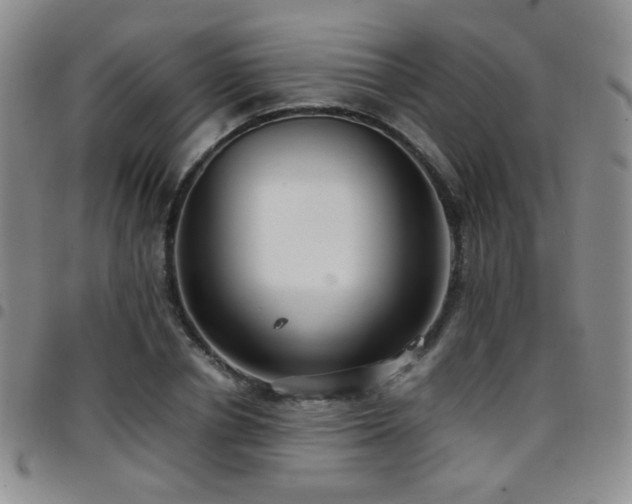 X0000097820834200803141138