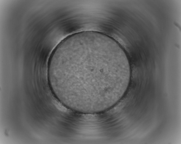 X0000097820836200803141138