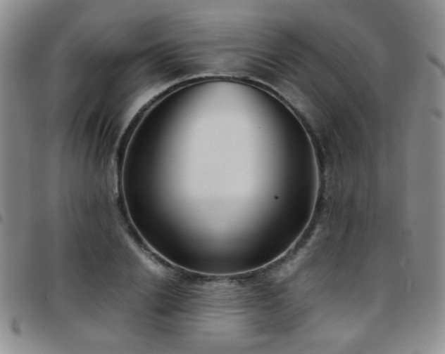 X0000097820838200803141138