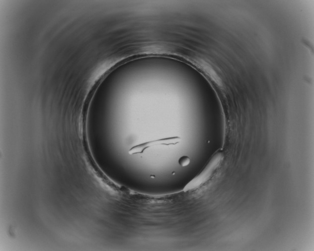 X0000097820839200803141138