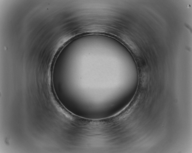 X0000097820840200803141138