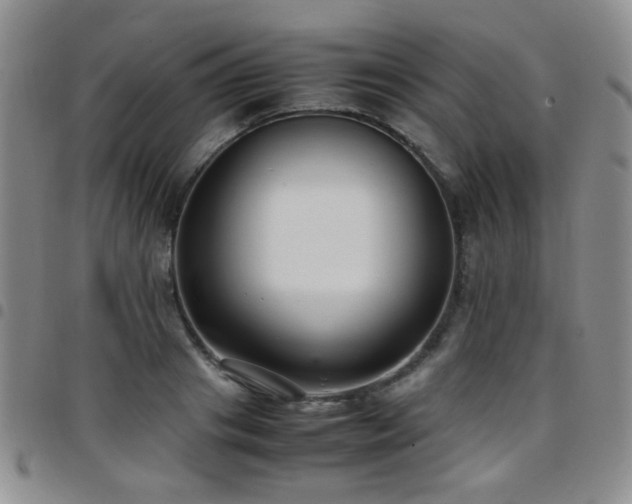 X0000097820841200803141138