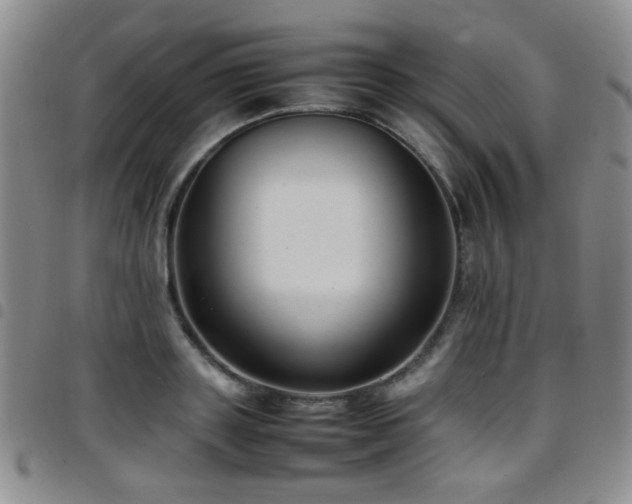 X0000097820843200803141138