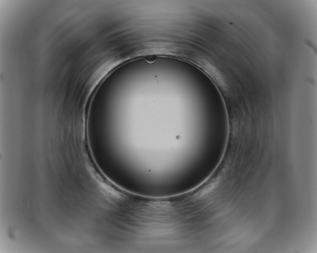 X0000097820844200803141138