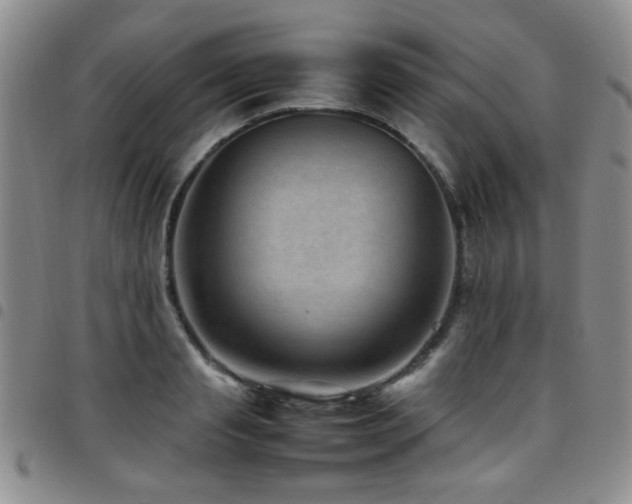 X0000097820845200803141138