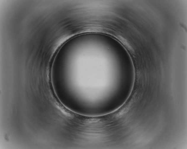 X0000097820846200803141138