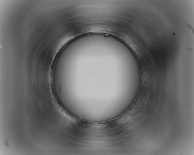 X0000097820848200803141139