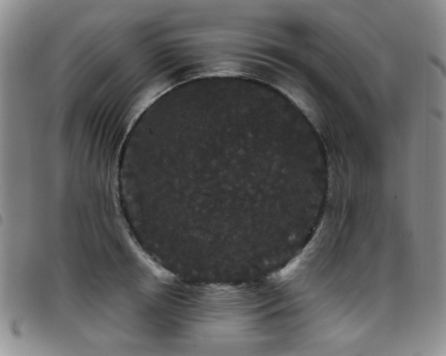 X0000097820850200803141139