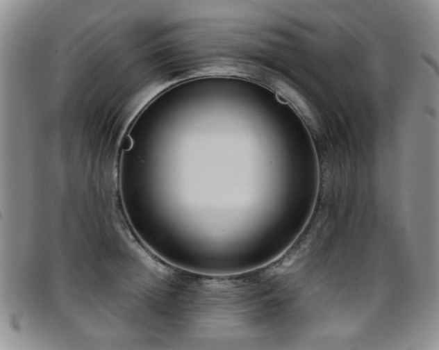 X0000097820852200803141139