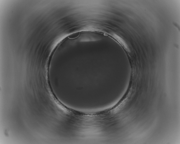 X0000097820854200803141139