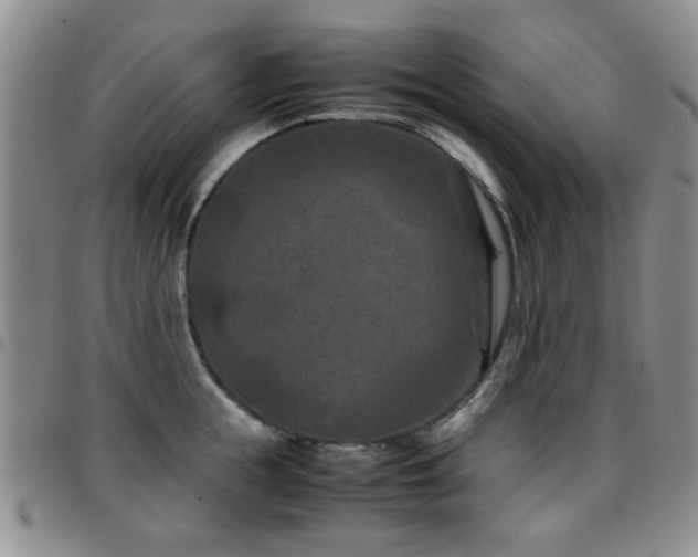 X0000097820855200803141139