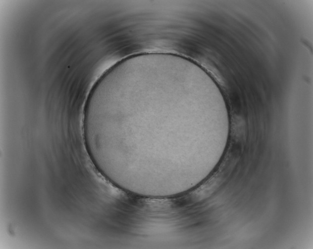 X0000097820856200803141139