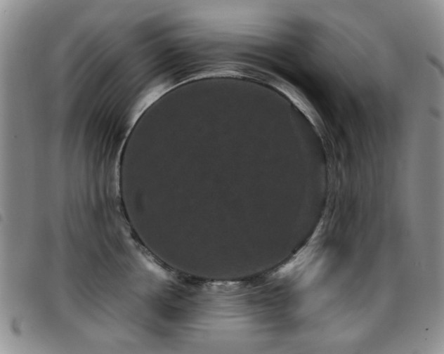 X0000097820858200803141139