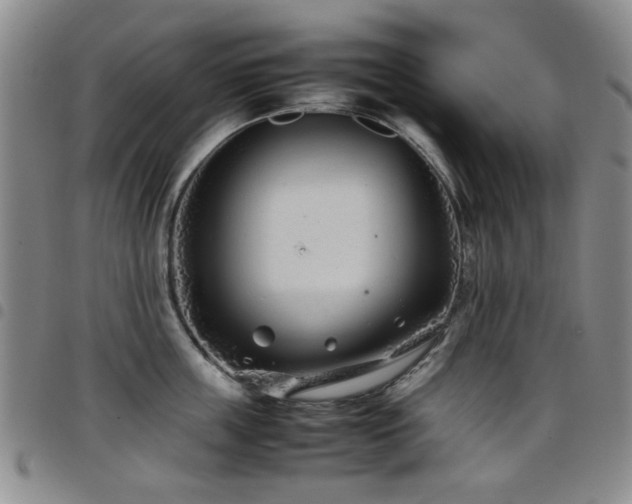 X0000097820859200803141139