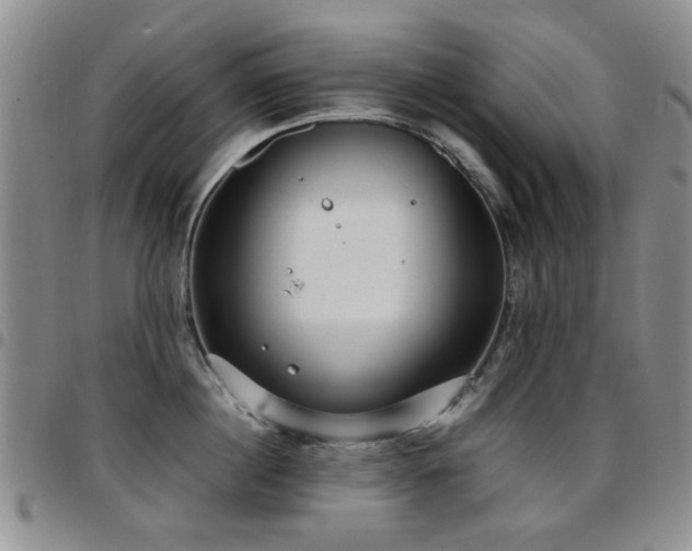 X0000097820860200803141139