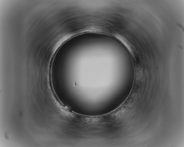 X0000097820861200803141139