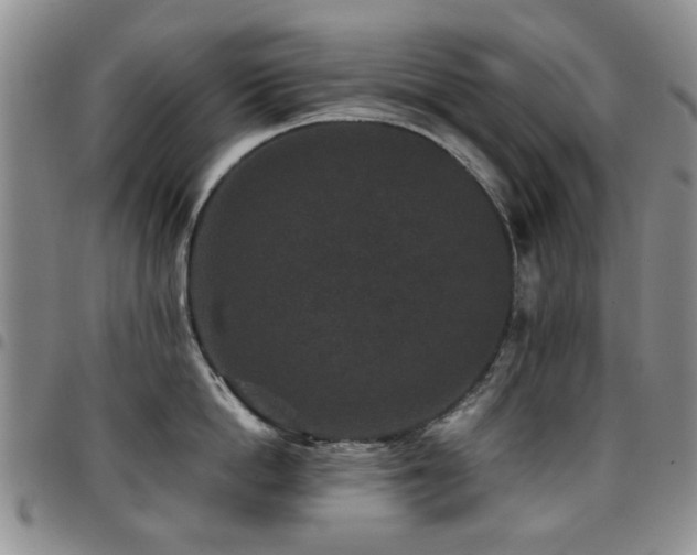 X0000097820862200803141139