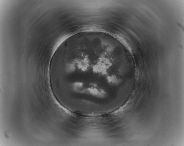 X0000097820863200803141139