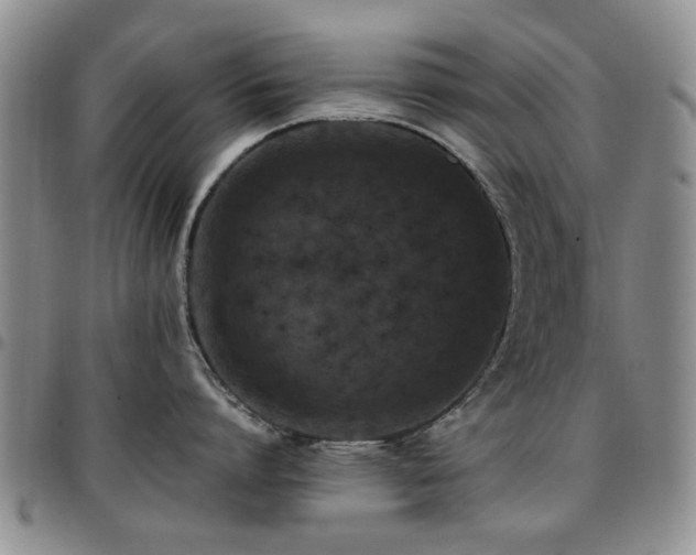 X0000097820864200803141139