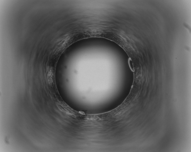 X0000097820866200803141138