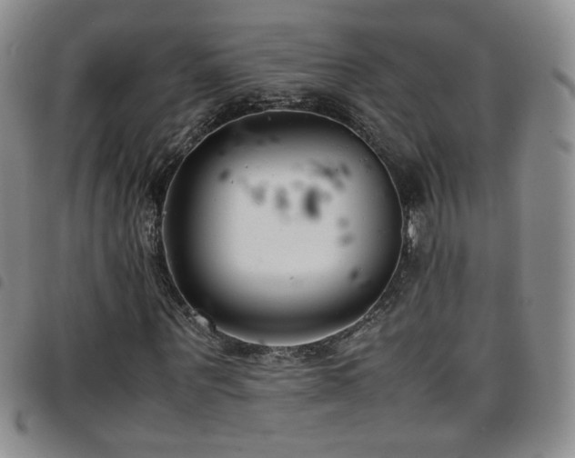 X0000097820867200803141138