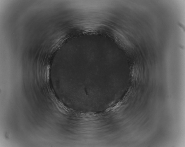 X0000097820868200803141138