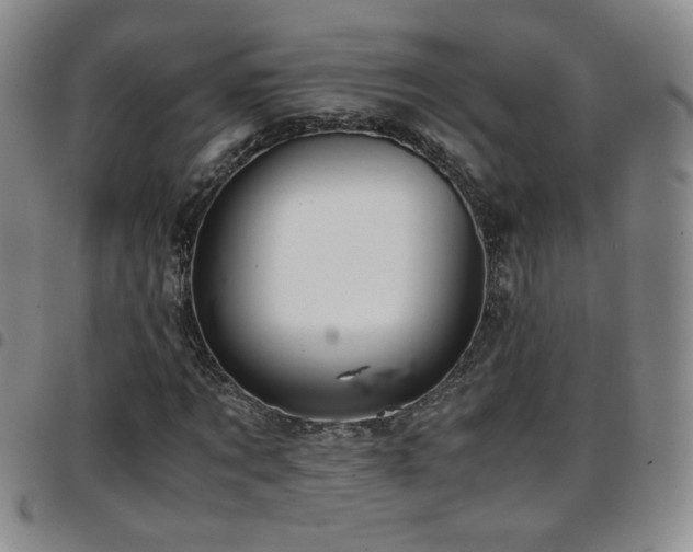 X0000097820869200803141138