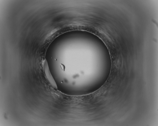 X0000097820870200803141138