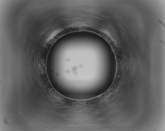 X0000097820871200803141138