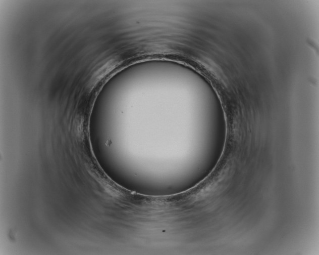 X0000097820873200803141138