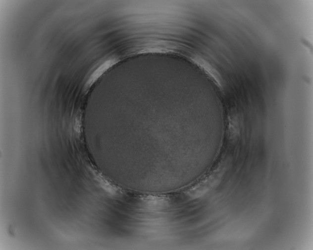 X0000097820874200803141138