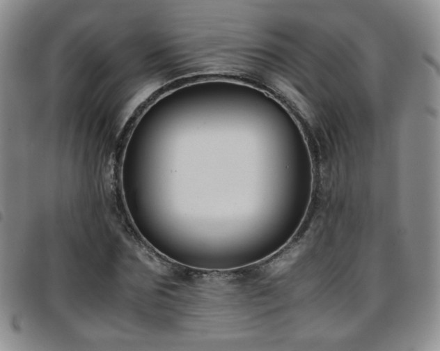 X0000097820875200803141138