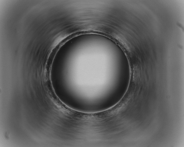 X0000097820876200803141138