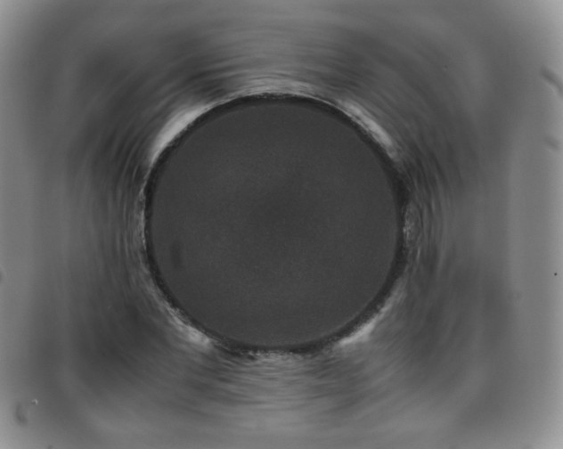 X0000097820877200803141138