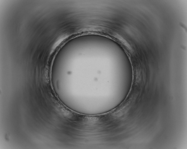 X0000097820878200803141138