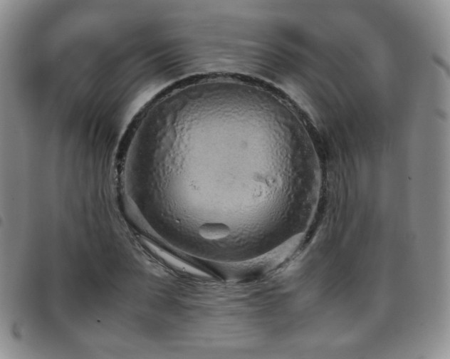 X0000097820879200803141138