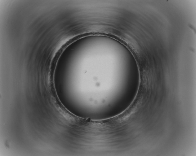 X0000097820880200803141138