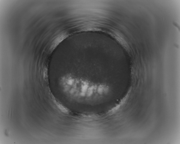 X0000097820881200803141138