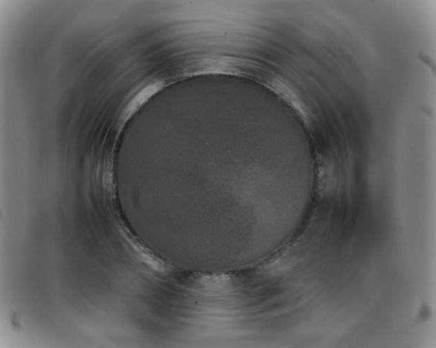 X0000097820882200803141138