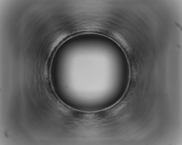 X0000097820883200803141138