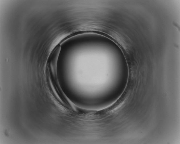 X0000097820885200803141138