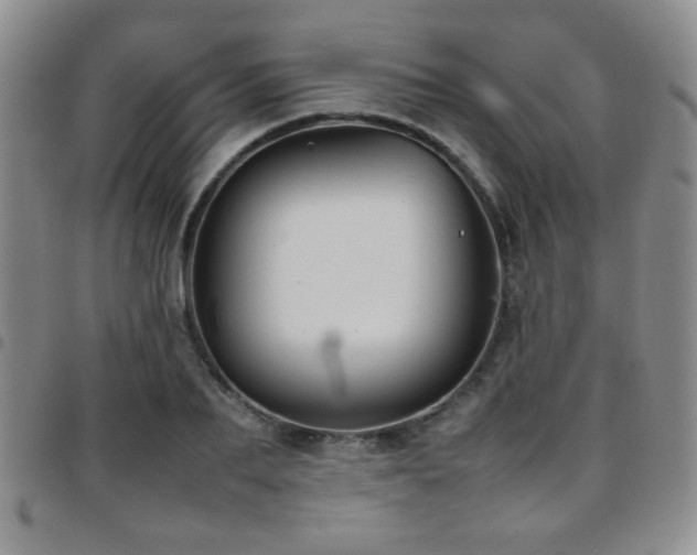 X0000097820887200803141138