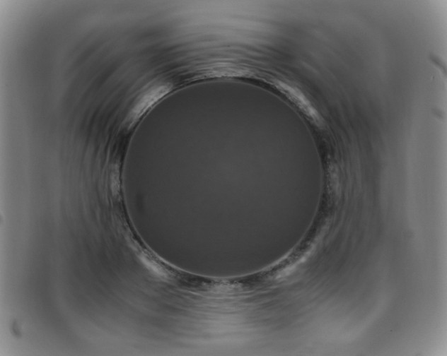 X0000097820889200803141138