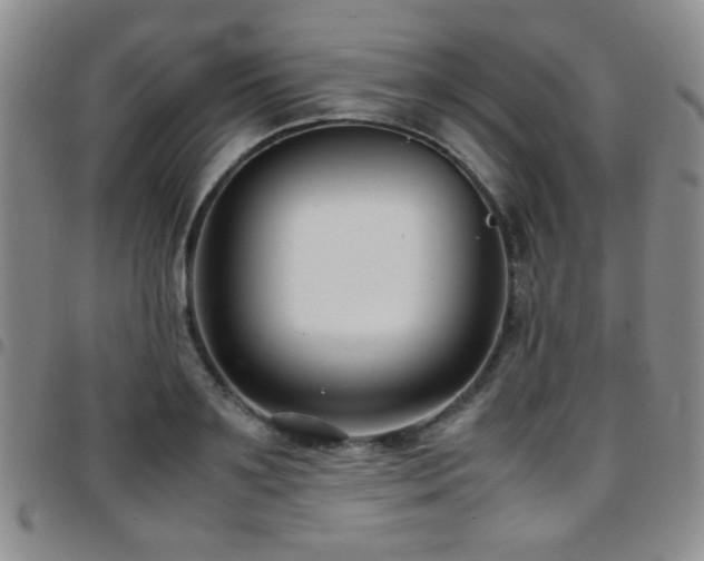 X0000097820891200803141138